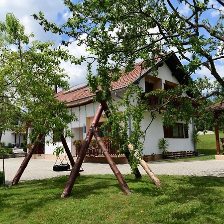 Guesthouse Ante Hodak Селиште-Дрежничко Экстерьер фото