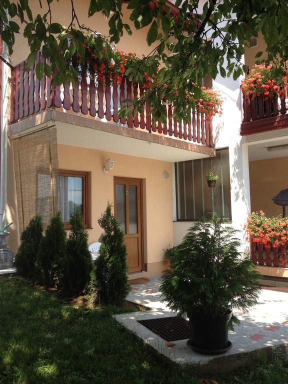 Guesthouse Ante Hodak Селиште-Дрежничко Экстерьер фото