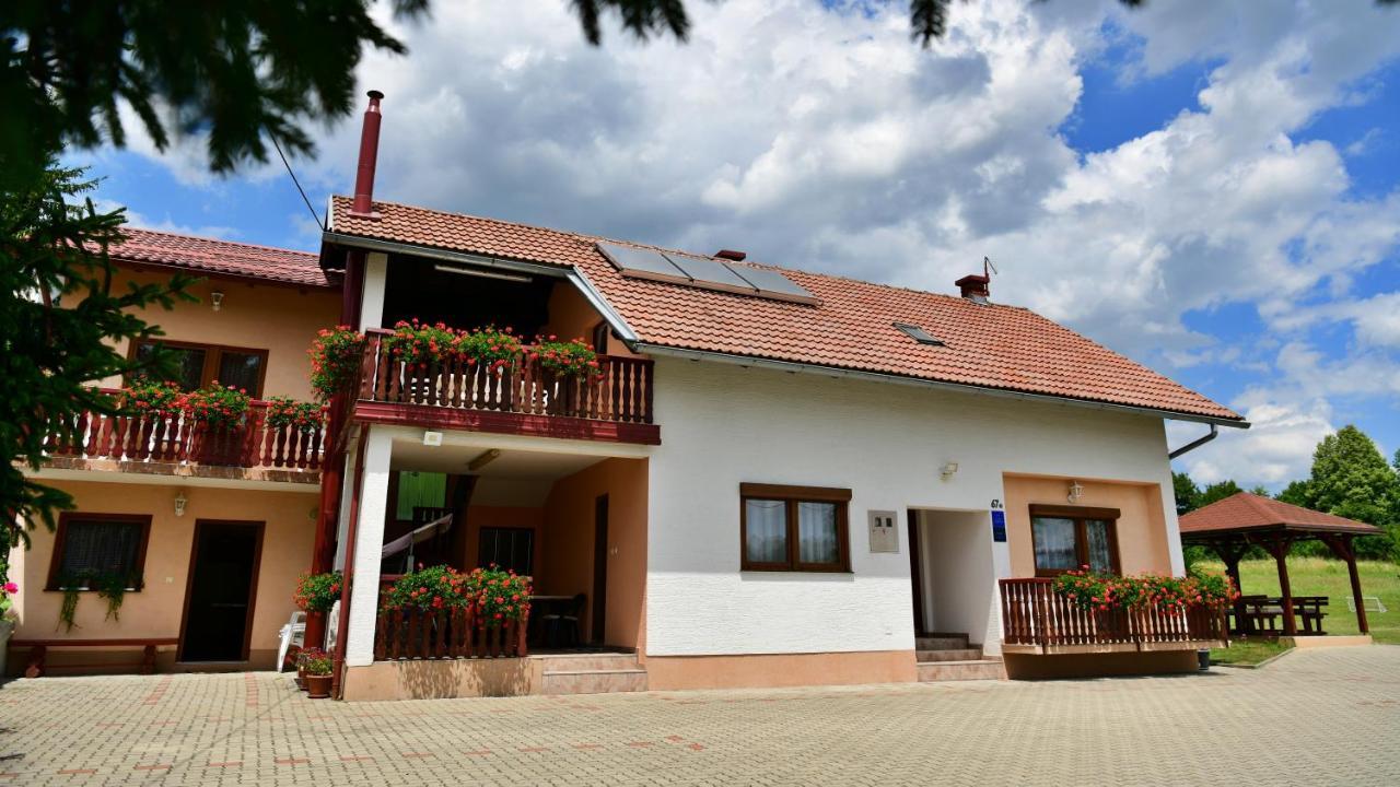 Guesthouse Ante Hodak Селиште-Дрежничко Экстерьер фото
