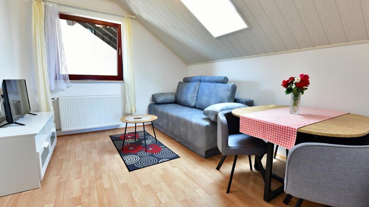 Guesthouse Ante Hodak Селиште-Дрежничко Экстерьер фото