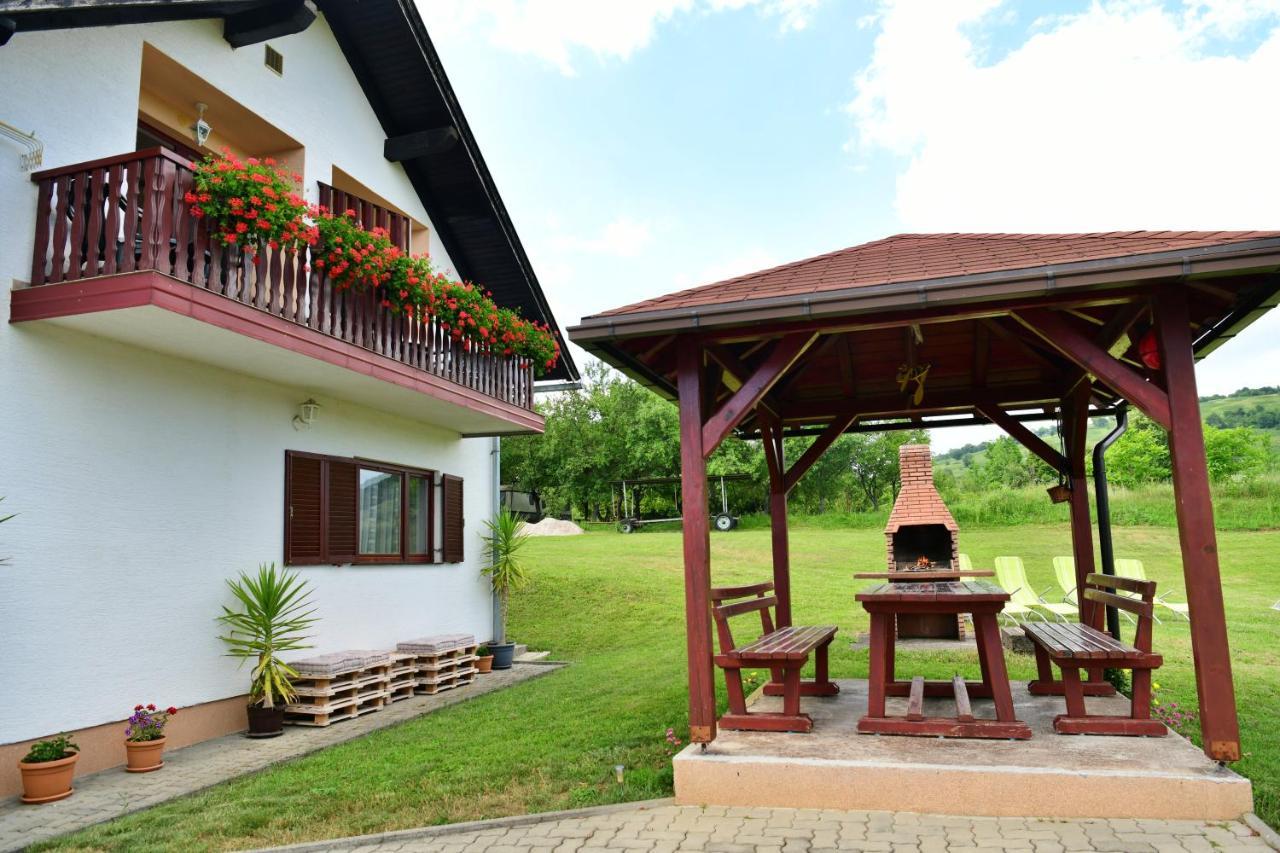 Guesthouse Ante Hodak Селиште-Дрежничко Экстерьер фото