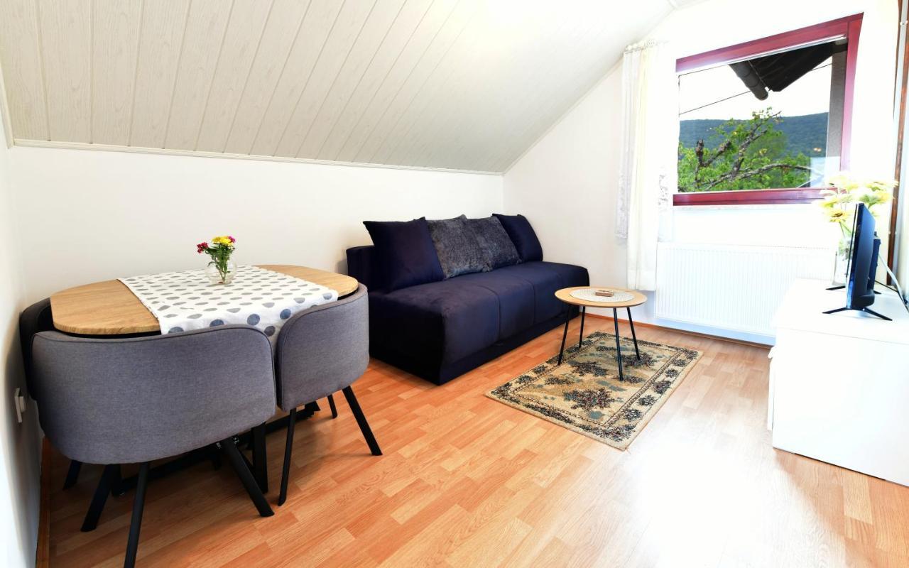 Guesthouse Ante Hodak Селиште-Дрежничко Экстерьер фото