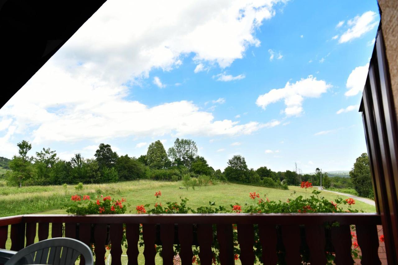 Guesthouse Ante Hodak Селиште-Дрежничко Экстерьер фото